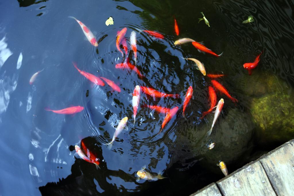 Guest House Of Permaculture Jiaxin ภายนอก รูปภาพ