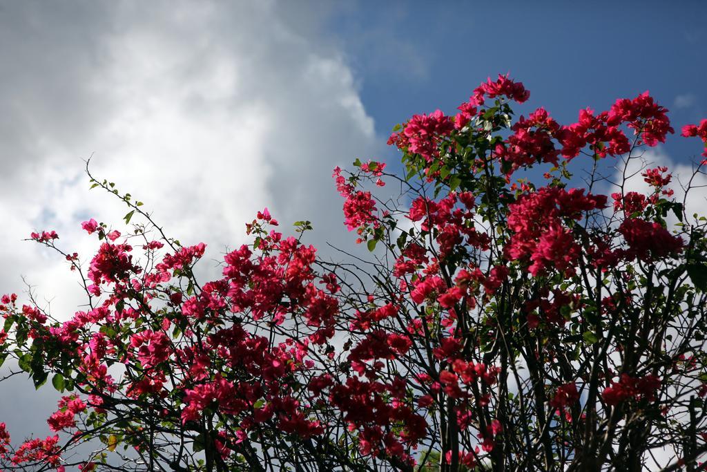 Guest House Of Permaculture Jiaxin ภายนอก รูปภาพ